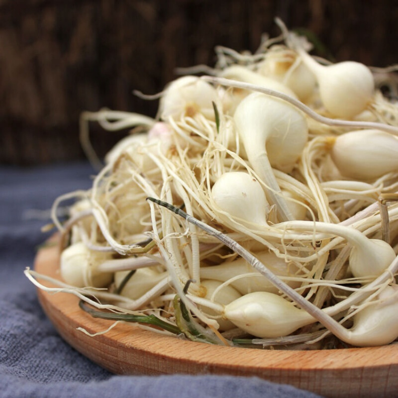 东北特产新鲜蔬菜山菜大脑瓜嘣小根蒜小根菜现卖现挖农家种植 5斤装