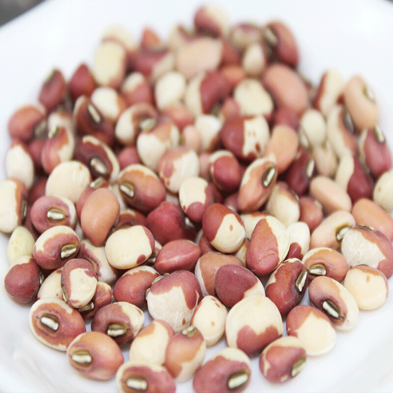 新货江豆花豆子姜豆干豇豆杂粮生豇豆2500g