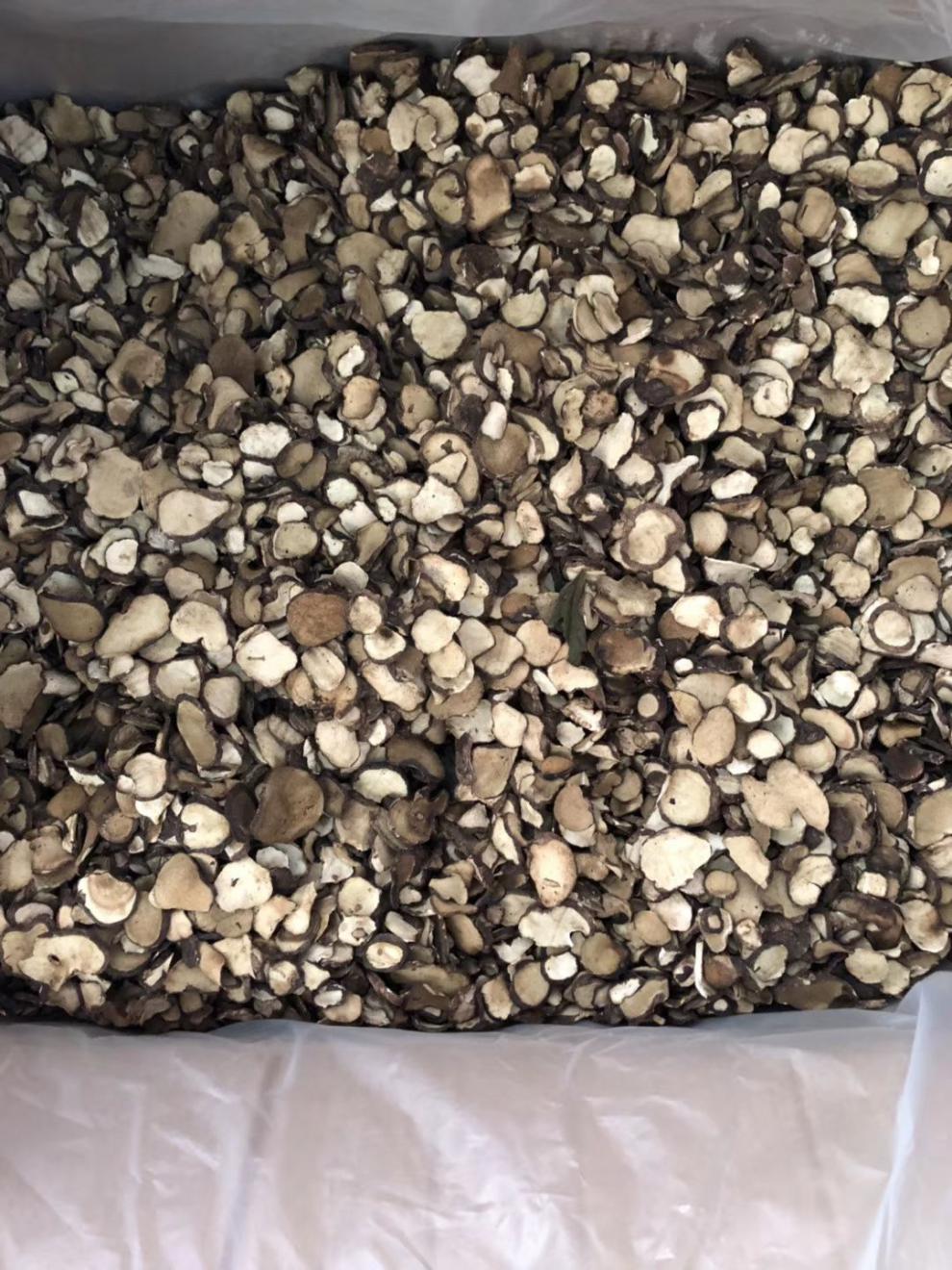 松菇干货福建特产闽南松蘑上菇菌菇新鲜尚菇无硫无碎松菇批发 250g