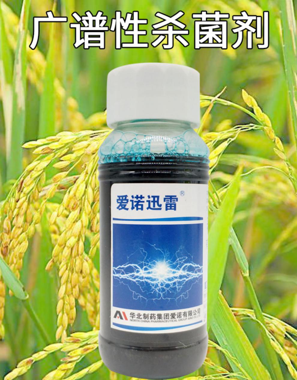 春雷雷霉素细菌病专用药春雷霉素农药剂黄瓜角斑病水稻稻瘟病 100ml