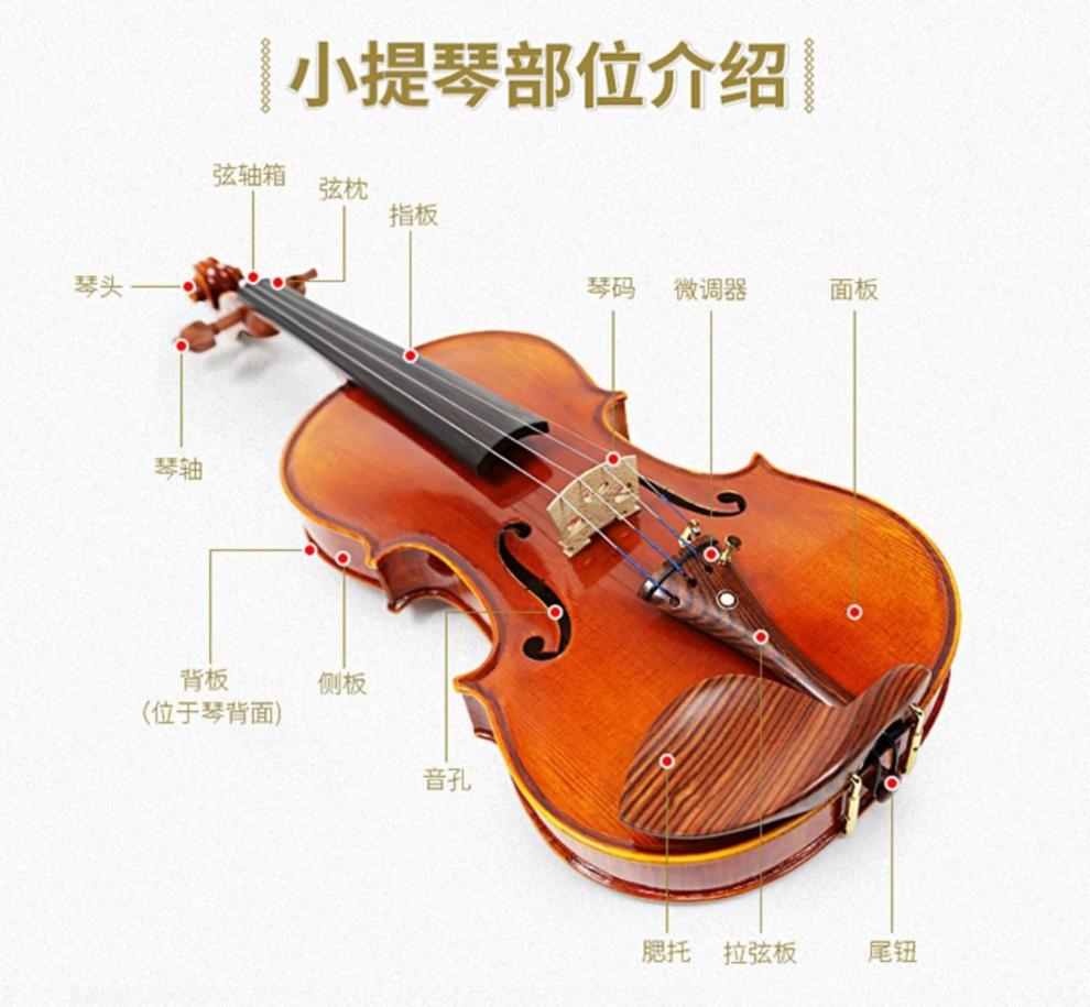1/4进口小提琴【图片 价格 品牌 报价】-京东
