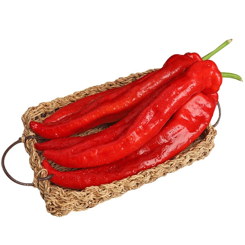 源外新鲜大红辣椒红尖椒蔬菜批发 红尖椒5斤【精品装】掌柜【图片