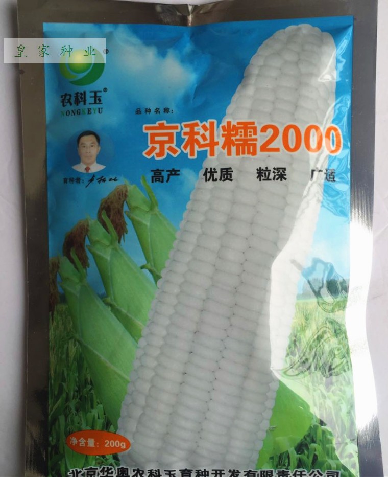 农科糯336农科玉368京科糯2016京科糯2000白甜糯玉米种子种籽国审农