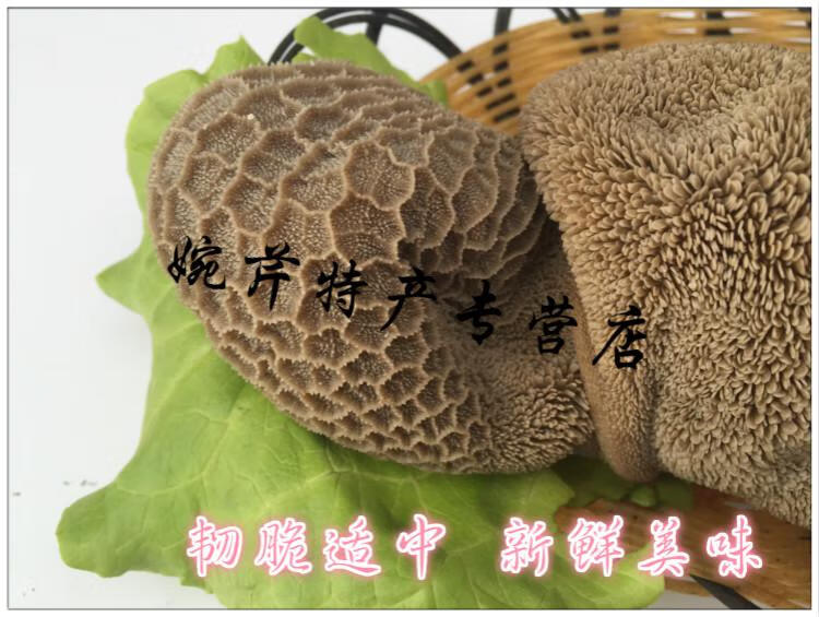 5折熟羊肚毛肚子熟羊胃现煮真空羊下水山羊1500g单县特产