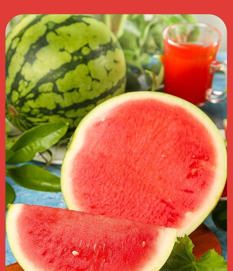 麒麟西瓜 水果新鲜薄皮小糖丸西瓜 1个装【图片 价格 品牌 报价】