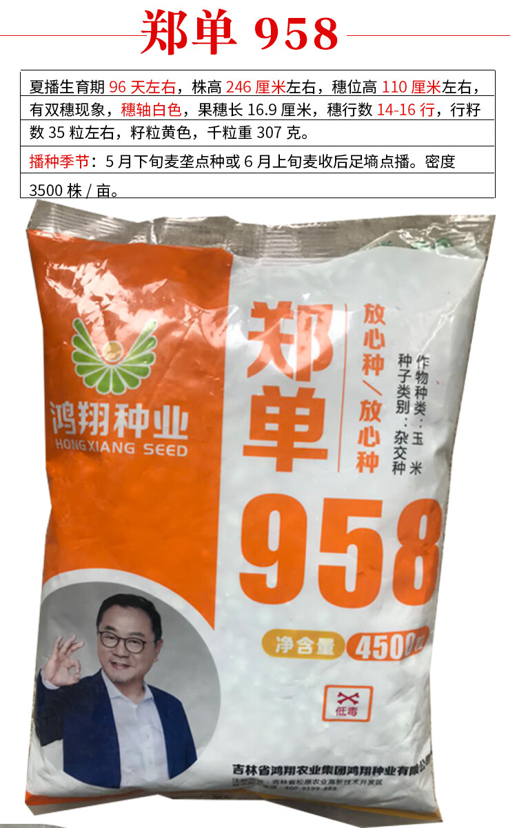 雜交種孑鄭單958飼料種子偉科浚單冀農秋樂 冀農802玉米原裝4200粒