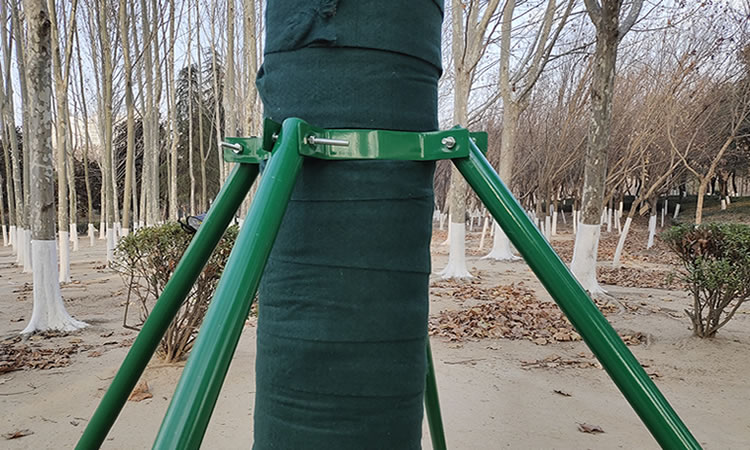 树木支撑架固定器园林苗木防风支架树木支撑杆树撑固定器镀锌钢管树