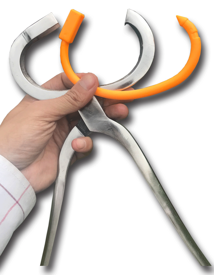 牛鼻钳穿牛鼻子牵引扣的工具穿孔钳子自动养牛场设备用养殖牛鼻环牛鼻