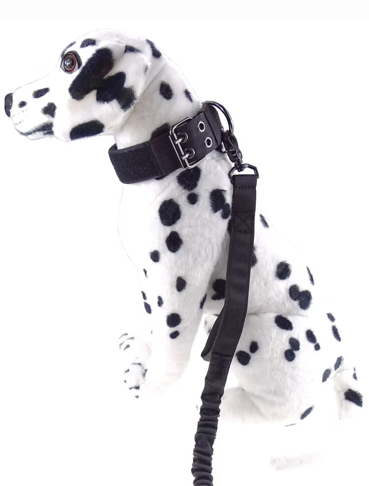 德牧狗脖套狗狗项圈中大型猛犬专用颈圈可调节防脱狗脖圈金毛德牧马犬