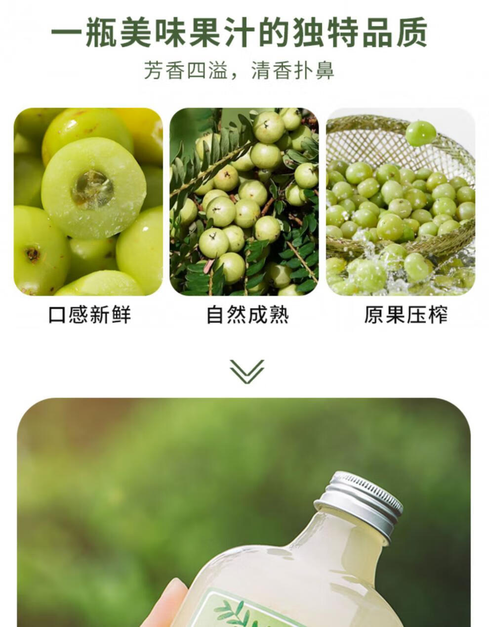 油柑饮料 500g/1kg 肇泉油柑果汁 霸气玉油柑王余甘汁 冷冻油柑饮料