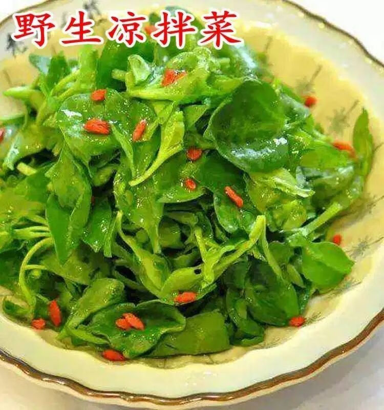 新鲜叶菜田七菜穿心莲菜绿叶菜凉拌沙拉菜青菜批发农家菜3斤