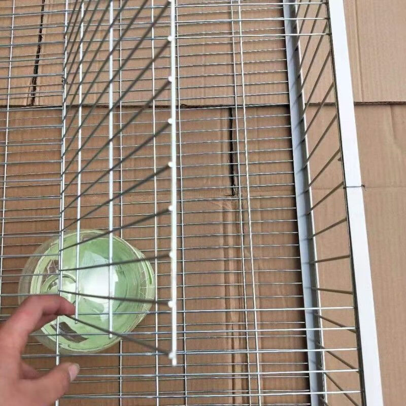 捕鸽子用具天落笼只进不出抓鸽捕鸽神器用品用具鸽笼鸽子套捕四面埋伏