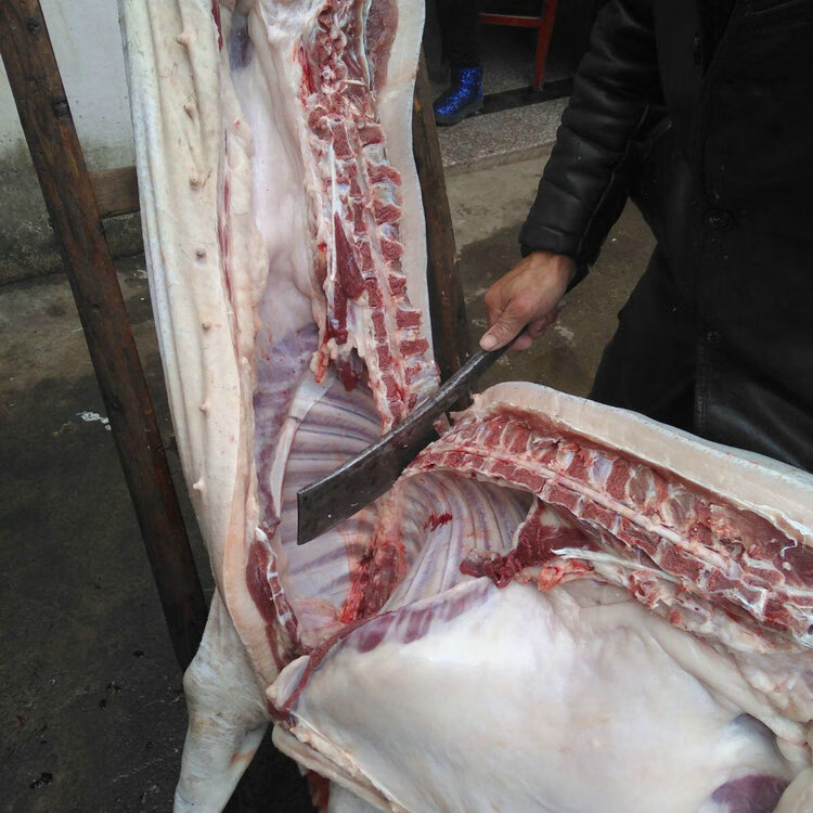 顺丰速运新鲜猪骨髓猪脊髓真空包装骨髓筋5斤2500克