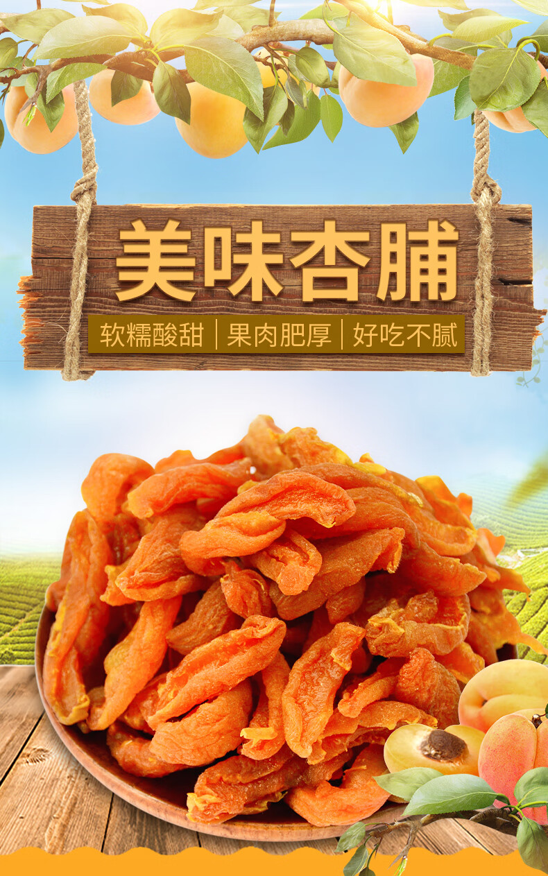 阳高杏脯干200g罐装酸甜山西特产杏干肉天然杏果脯无核孕妇 杏脯200g*