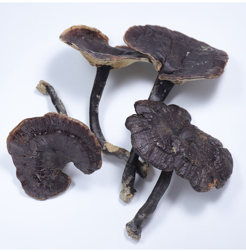 晓楚仁云南黑灵芝250克紫灵芝整枝泡酒泡水煲汤黑芝