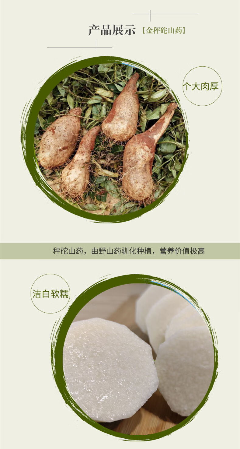 云南秤砣山药林芝山药香甜软糯新鲜现挖整箱秤砣山药3斤装26斤31斤
