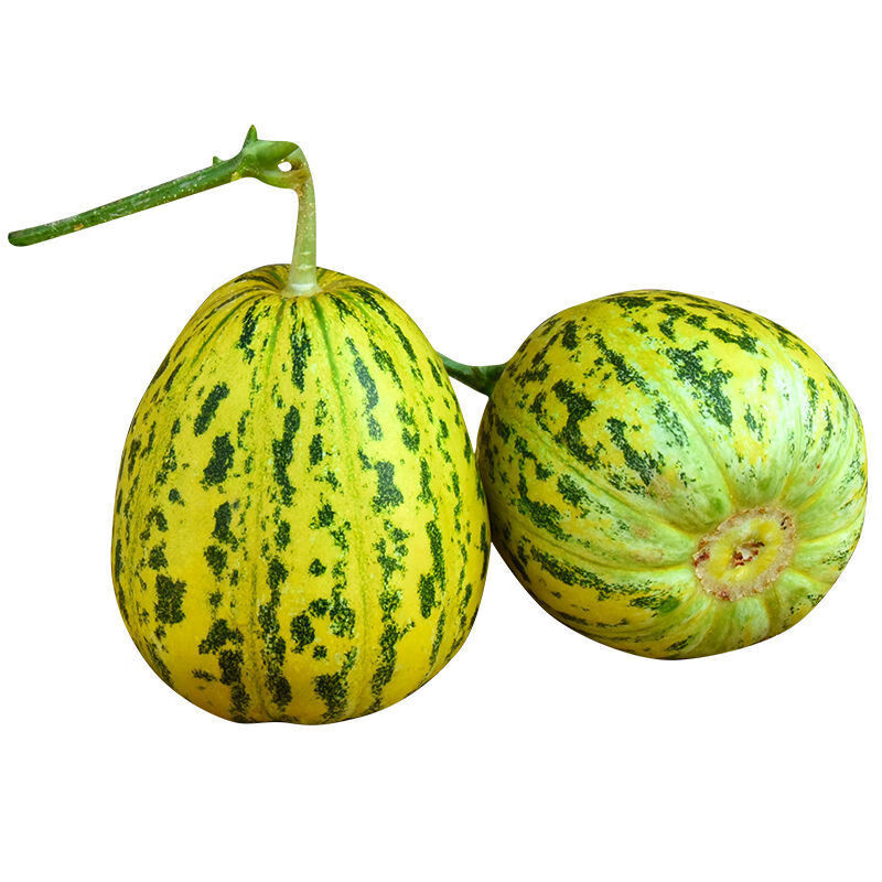 【年货精选】花皮香瓜1/5斤新鲜甜瓜水果怀旧香瓜花蕾香瓜八里香瓜