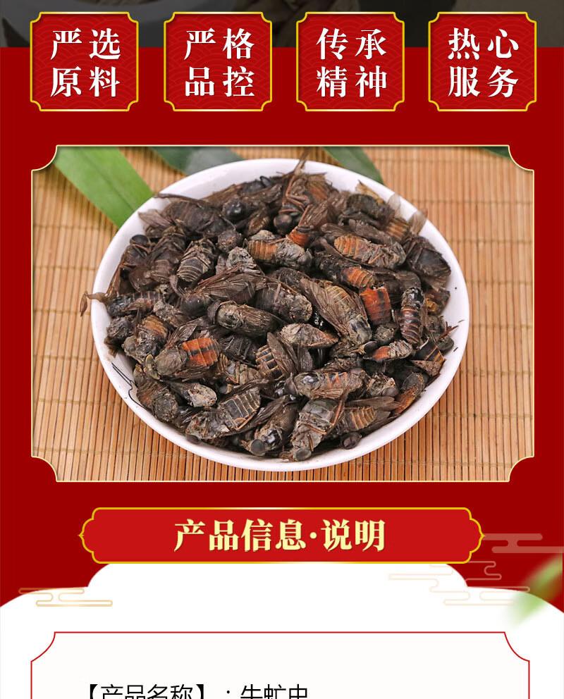 同仁中药材牛虻虫100克散装大个牛苍蝇牛氓虫牛蚊子牤虫忙虫小个牛虻