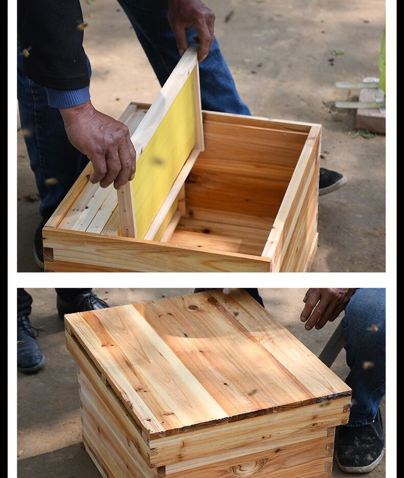 蜜蜂箱成品巢框全套餐中蜂十框箱标准煮蜡土蜂箱批发 煮蜡蜂箱
