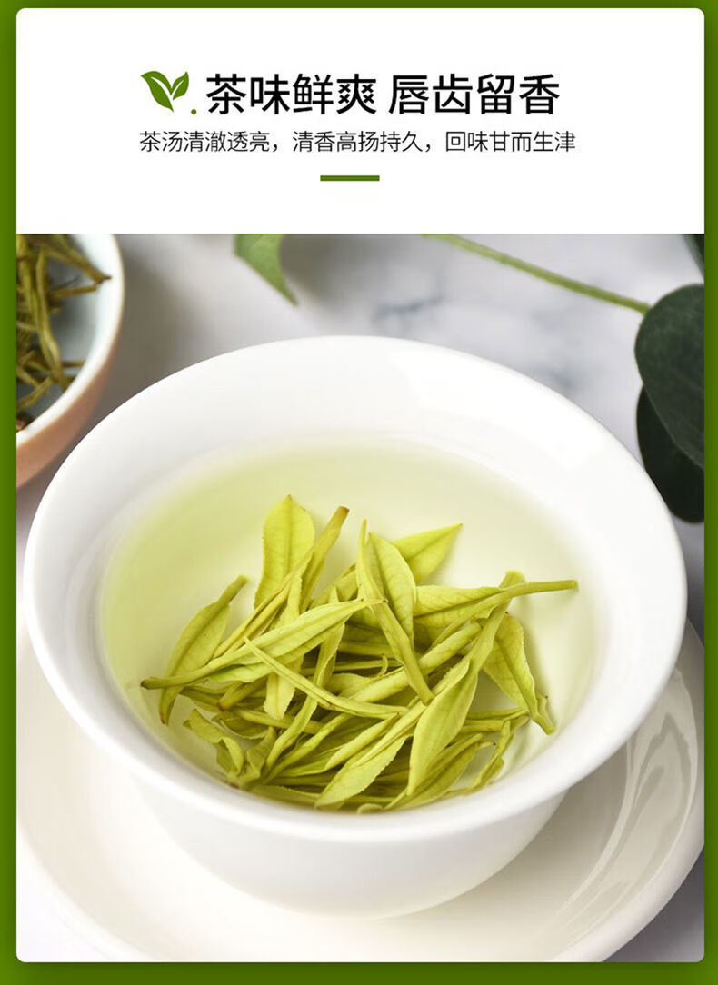 白茶茶叶绿茶新茶春茶毛尖散装250克多规格一斤4罐装紫砂杯