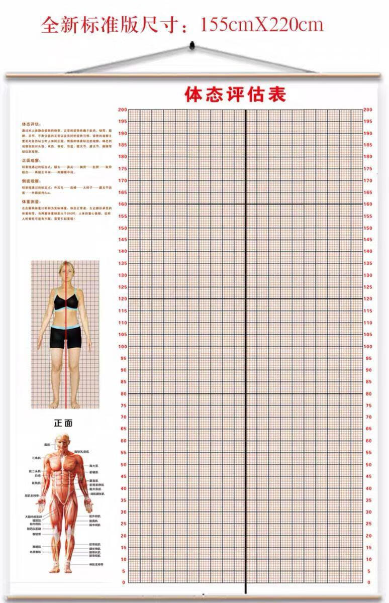 身体测试图墙纸体资评估图体位图表全新升级简易版150200cm挂式真丝布