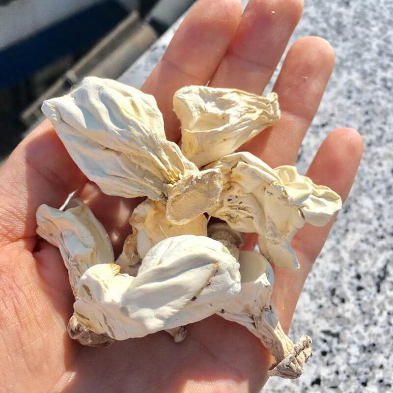 10030005594596商品名称:武夷山长寿菇白灵菇人参菇白菇茶花菇特产