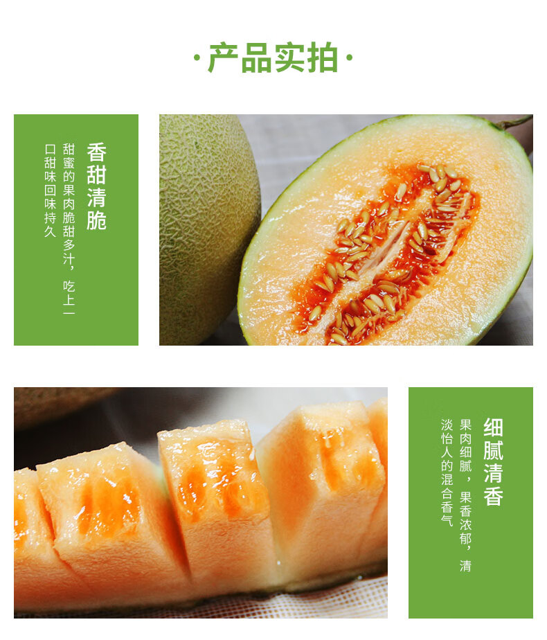 北纬23度哈密瓜2个大果超甜当季蜜瓜甜瓜西州蜜新鲜水果10斤装大果