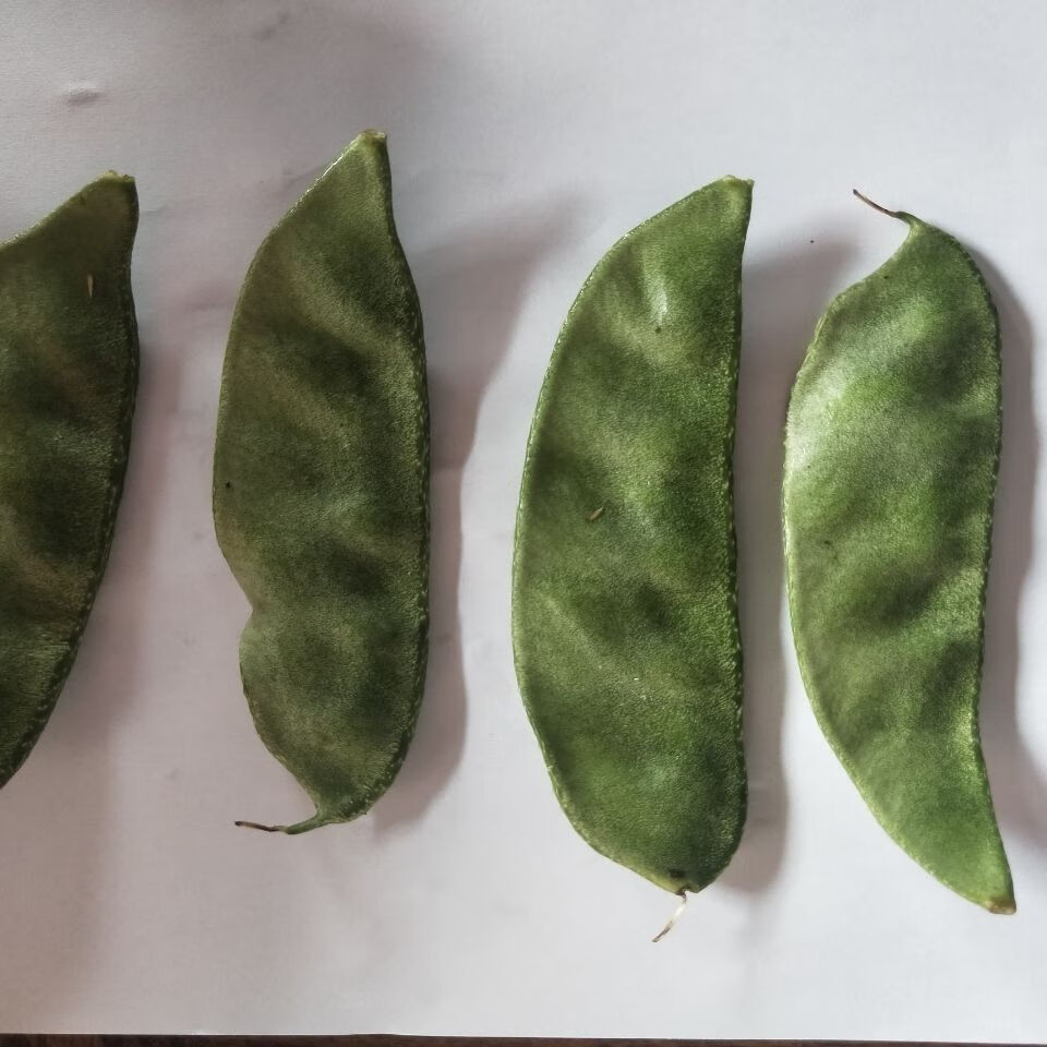新摘眉豆角猪耳扁豆角扁芸豆柴扁豆新鲜食材整箱生鲜3/5斤装 3斤装