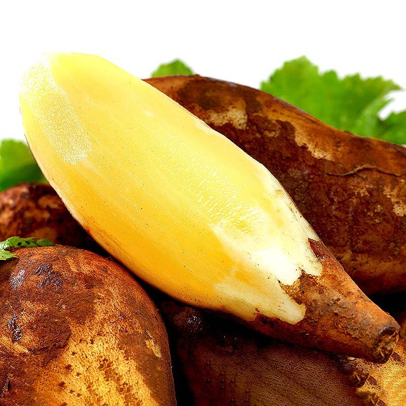 雪莲果天山特级10斤水当季整箱5大红心新鲜一云南雪连 5斤 中果