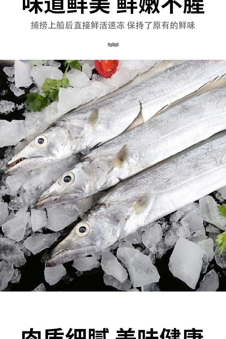 新鲜冷冻带鱼刀鱼整箱东海小眼带鱼无冰素馨依水10斤大号2426条箱超值