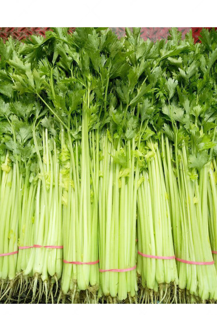 棠鲜生 新鲜芹菜5斤西芹香芹青菜西芹蔬菜农家自种 3斤