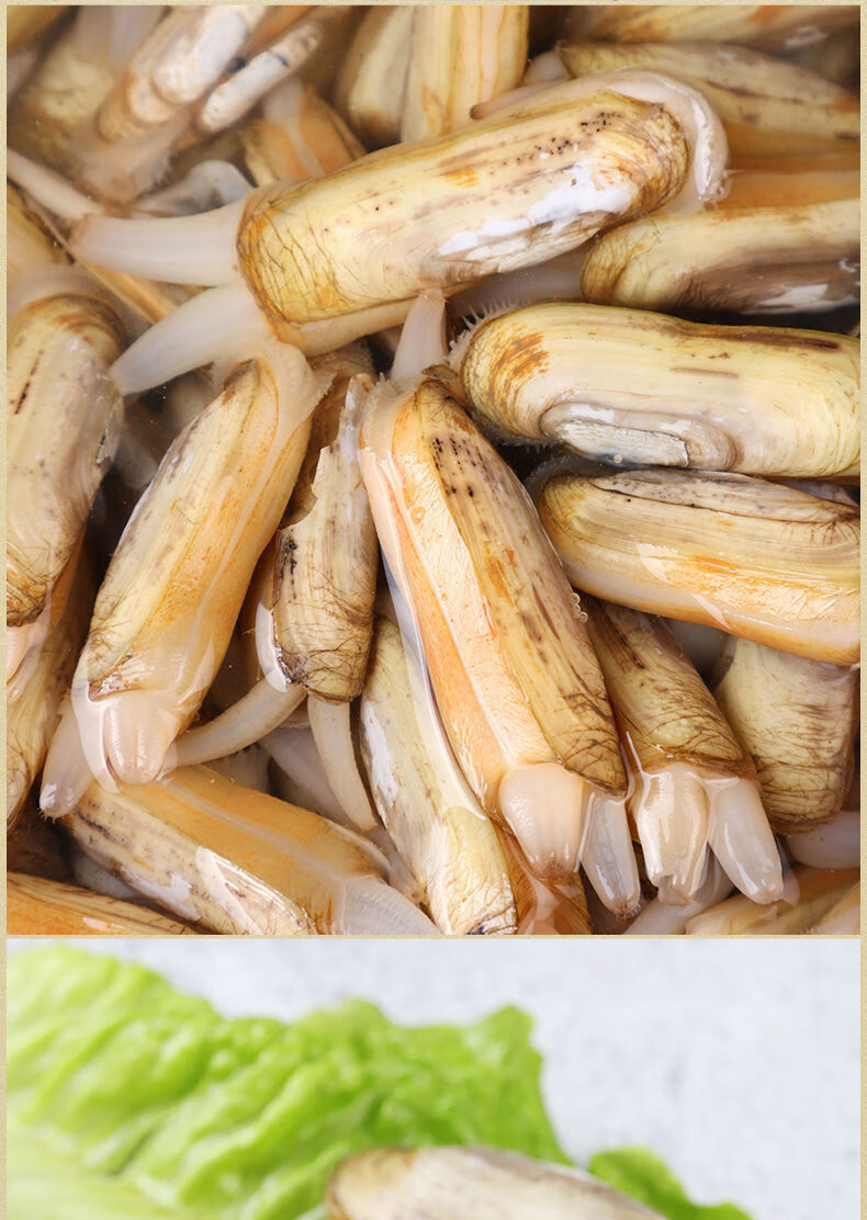 9斤蛏子鲜活蛏王海蛏新鲜海鲜竹节蛏笔杆蛏1斤惟纳德涪陵榨菜一包随机