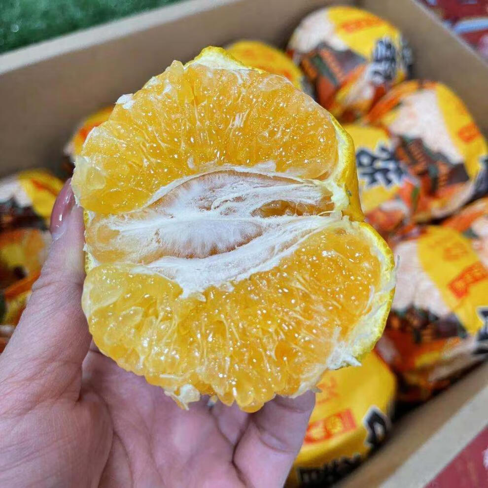 jd速运寻味优果爆浆春见粑粑柑新鲜柑橘子不知火四川丑橘原包装礼盒带