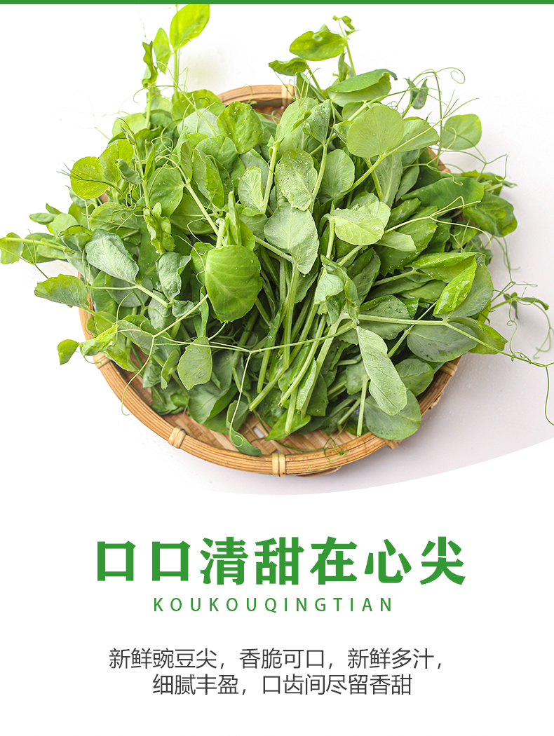 四川特产新鲜豌豆尖新鲜蔬菜豌豆苗当季嫩豌豆苗农家龙须菜500g