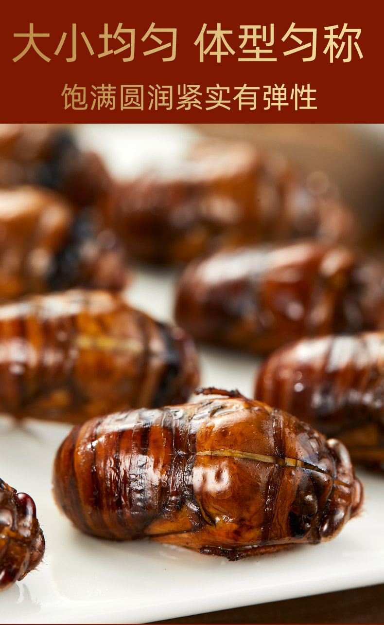 爵妃新货知了猴活体速冻金蝉结了龟鲜活蝉蛹山东特产新鲜爬叉猴200只