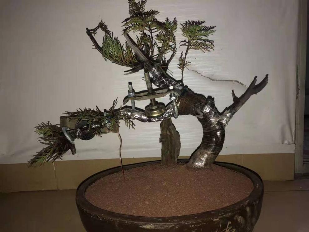 风化石土天然风化石土石谷子金弹子营养土通用多肉兰花盆景土园艺种花