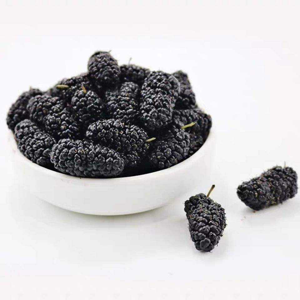 五斤新鲜桑葚王【图片 价格 品牌 报价】-京东