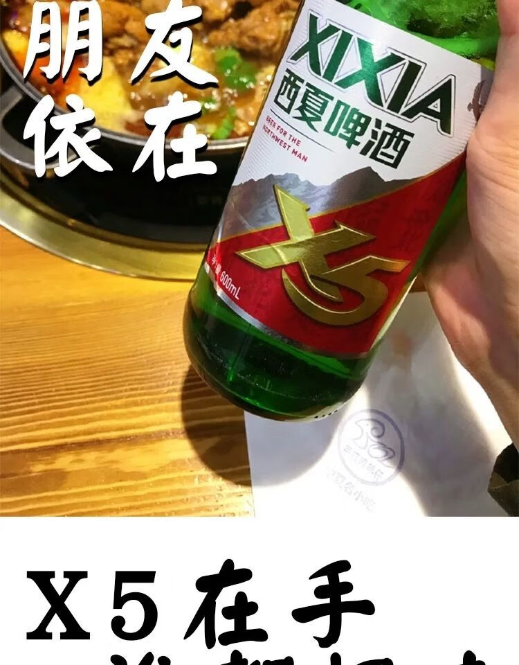 西夏啤酒 x5 大红瓶12瓶装口服液叉五嘉士伯旗下京雪花熟黄 12瓶装
