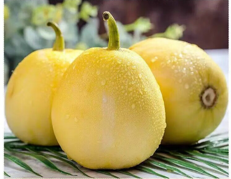 头茬星甜小蜜蜂甜瓜超甜水果新鲜孕妇应季水果香瓜脆瓜整箱批发5斤