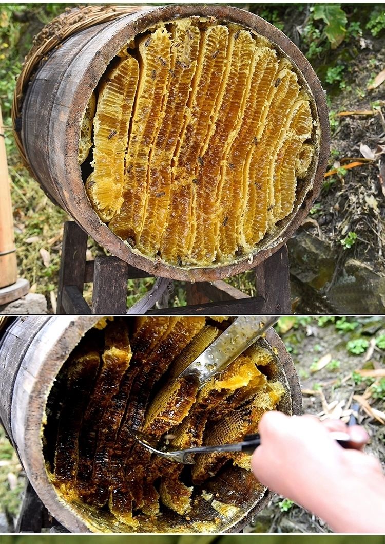 土蜂蜜深山木桶密土蜂蜜纯蜂巢蜜农家自产自销蜂蜜 野生天然蜂巢蜜 1