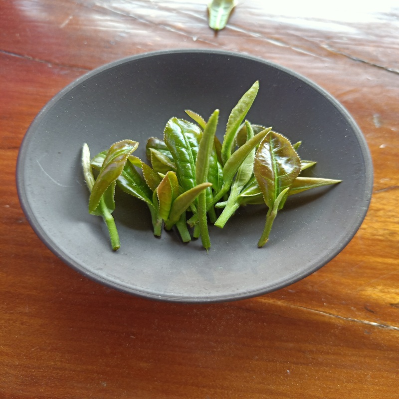 石阡苔茶一级2021年新茶明前茶石阡苔茶贵州春茶高山绿茶贵州绿茶手工