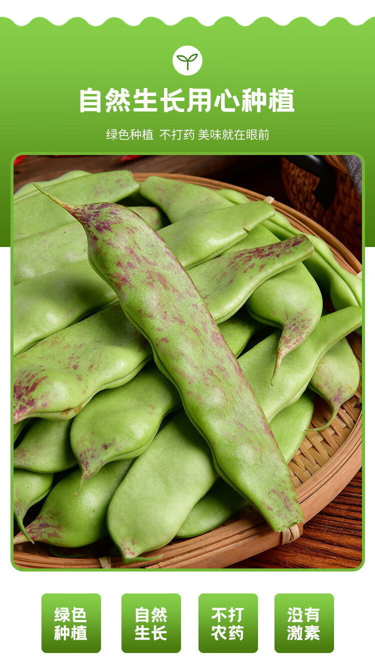 【现货现发】东北油豆角一点红油豆角开锅烂新鲜蔬菜 一点红2斤装【坏