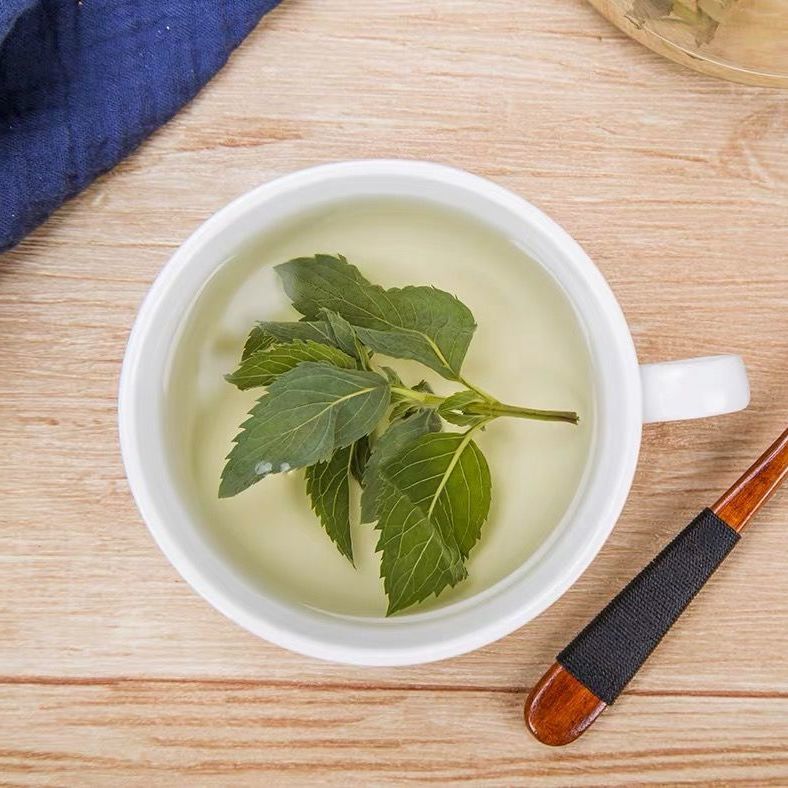 野生新鲜绿薄荷叶泡水清凉饮薄荷叶茶野生中提神干薄荷菜食用楚仲堂