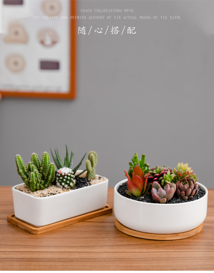 陶瓷花盆白瓷多肉花盆亚简约长方盆拼盘竹托 白瓷方盆(无托) 不含植物