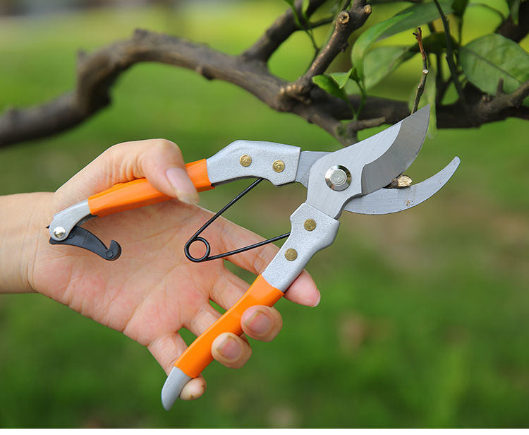 进口修枝剪花剪树枝剪刀园艺剪园林剪果树五金工具修剪修花神器k款直