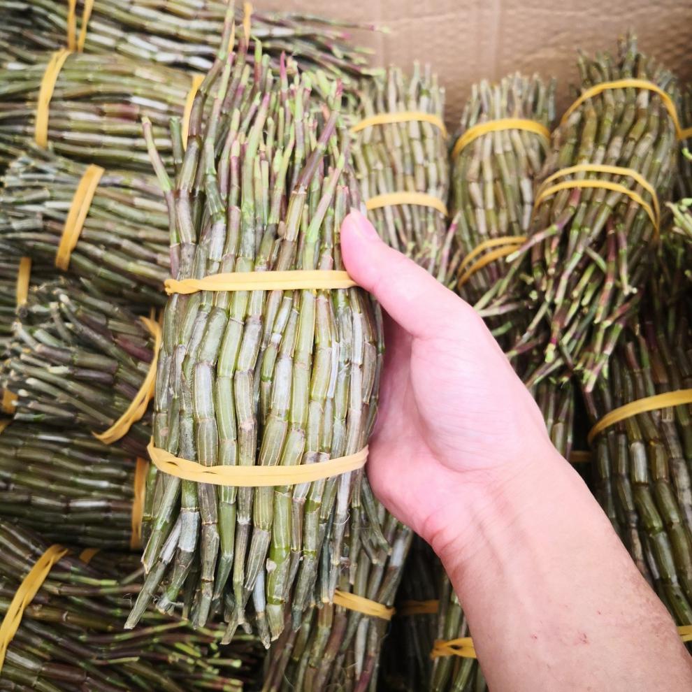 500g新鲜铁皮石斛鲜条石觚解石角斛确风触魁斜斗胡敷食用云南散装