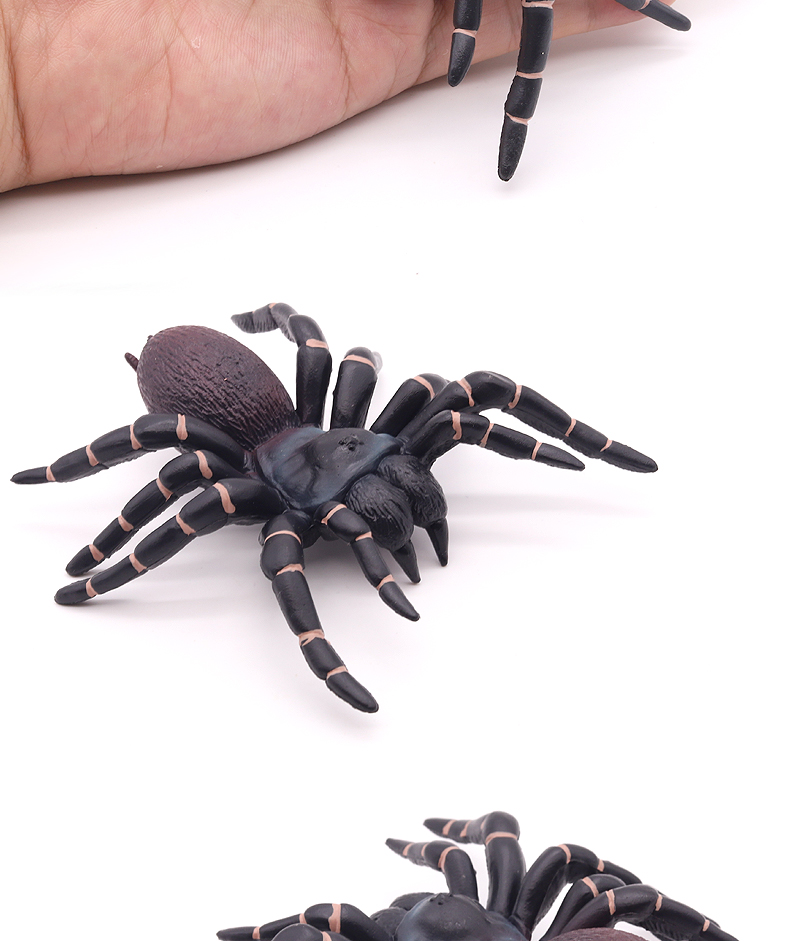实心仿真蜘蛛模型昆虫玩具黑蜘蛛狼蛛大蜘蛛动物儿童认知礼物 红丝绒