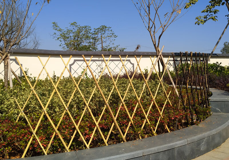 户外小栅栏围栏月季植物爬藤竹子花支架花园竹竿阳台伸缩竹篱笆 紫竹