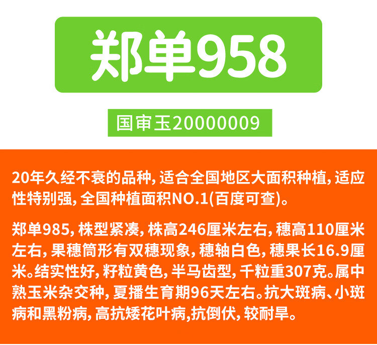 9c804e9bcdfc03af.jpg