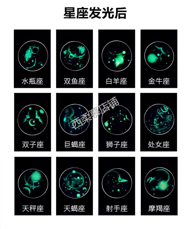 夜光手链韩版手环狮子全息反光十二星座简约情侣小学生女可爱潮男黑色